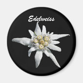 Edelweiss Flower Bloom Magneet (Voorkant)