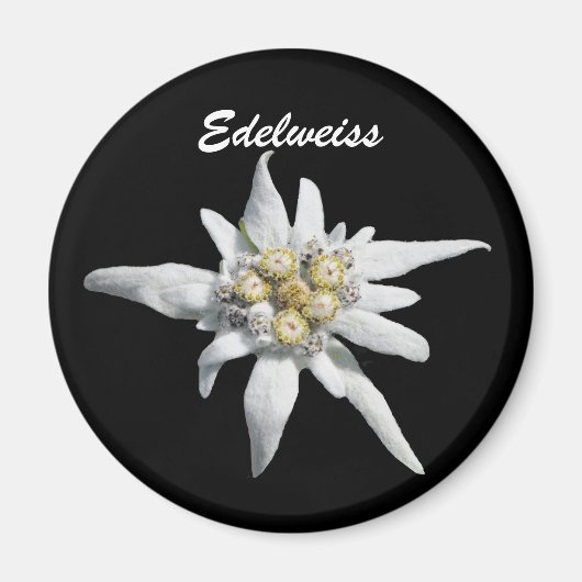 Edelweiss Flower Bloom Magneet (Voorkant)
