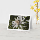 Edelweiss Flower Folded Blank Greeting Card Kaart (Gele Bloem)