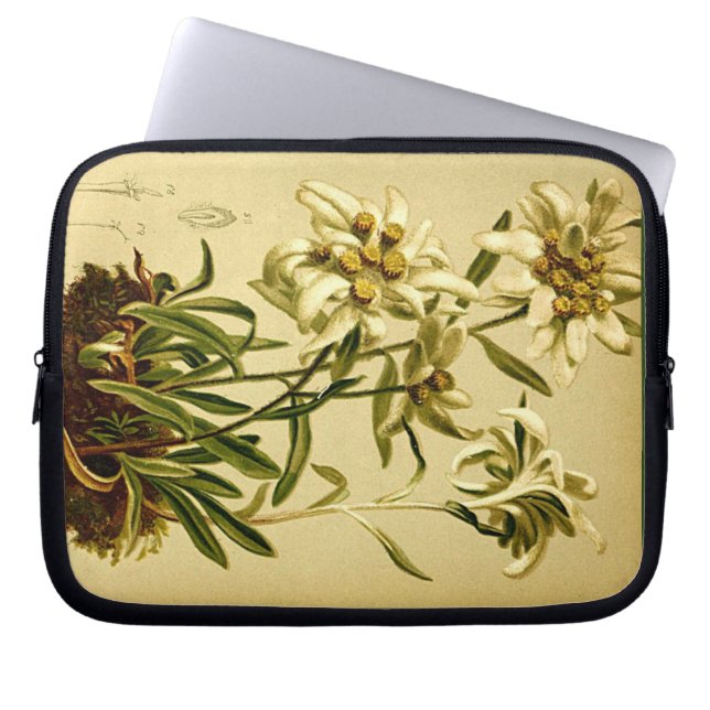 Edelweiss Flower Laptop Sleeve Pouch Hoesje (Voorkant)