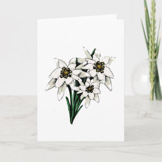 Edelweiss Flowers Kaart (Voorkant)