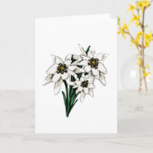 Edelweiss Flowers Kaart (Gele Bloem)