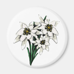 Edelweiss Flowers Magneet