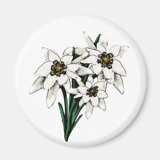 Edelweiss Flowers Magneet (Voorkant)