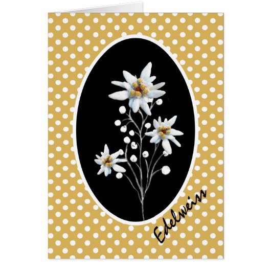 Edelweiss Flowers op Gele en Witte Polka Dots (Voorkant)