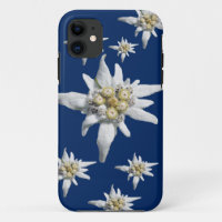 Edelweiss-Hoesje tegen donkerblauwe achtergrond