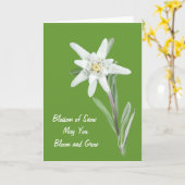 Edelweiss Kaart (Gele Bloem)
