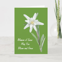 Edelweiss Kaart