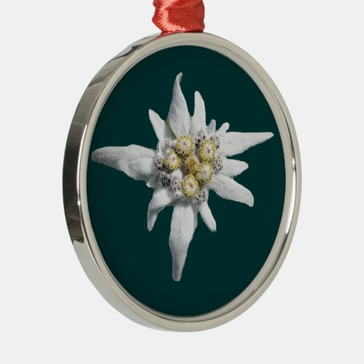 Edelweiss Ornament (Rechts)