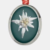 Edelweiss Ornament (Links)