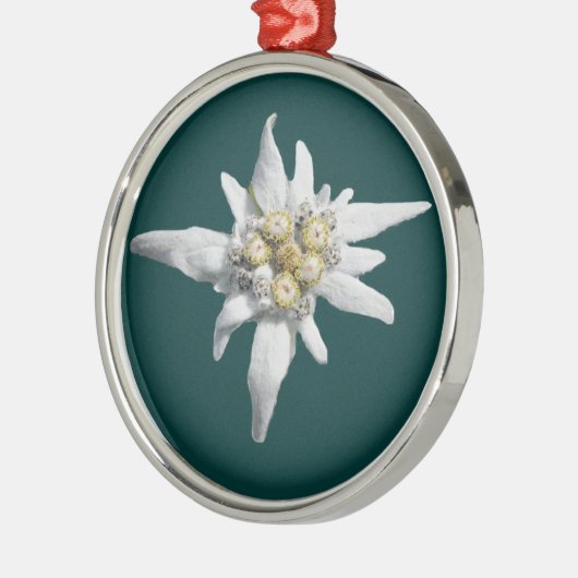 Edelweiss Ornament (Links)