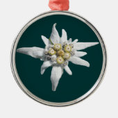 Edelweiss Ornament (Voorkant)