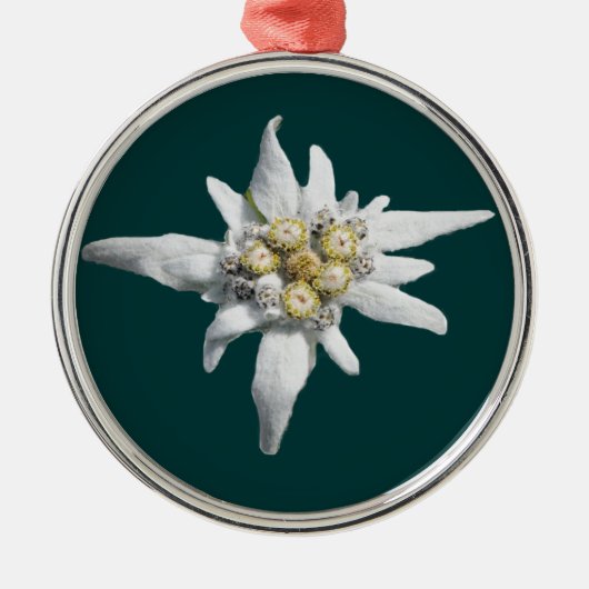 Edelweiss Ornament (Voorkant)