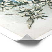 Edelweiss Poster (Hoek)