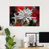 Edelweiss Poster (Thuiskantoor)