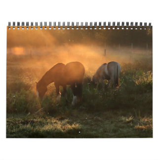 Edelweiss Ranch-Hordes van paarden! Kalender