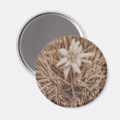 Edelweiss - Stella alpina Magneet (Voorkant / Achterkant)