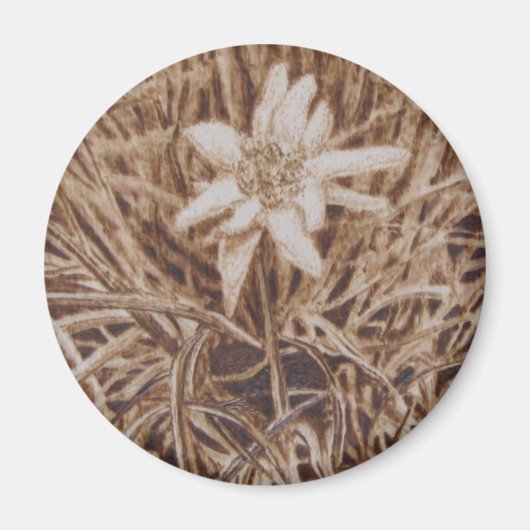 Edelweiss - Stella alpina Magneet (Voorkant)