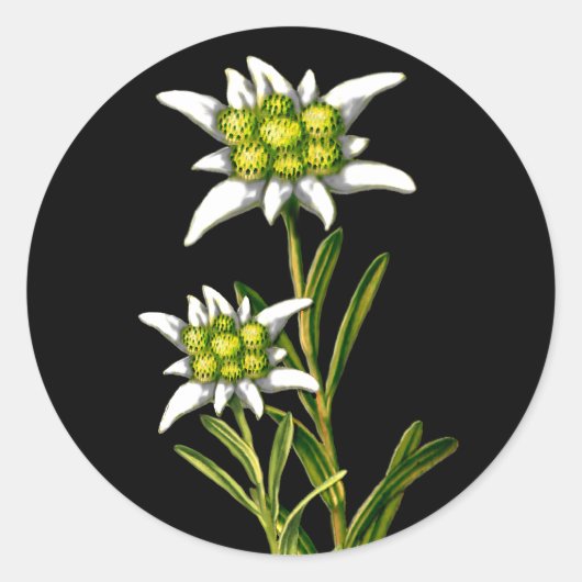  Edelweiss-Stickers Ronde Sticker (Voorkant)
