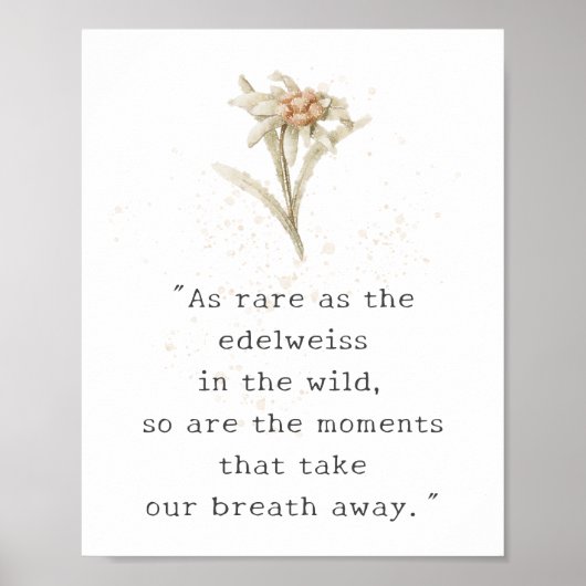 Edelweiss Wildflower Poster (Voorkant)