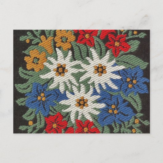 Edelweiss Zwitsers alpenventiel Briefkaart (Voorkant)