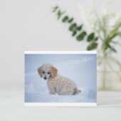 Edelwitte poodle Puppy in sneeuw Briefkaart (Staand voorkant)