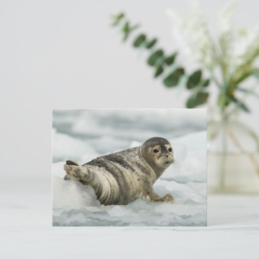 Edelzegel Briefkaart (Staand voorkant)