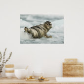 Edelzegel Poster (Keuken)