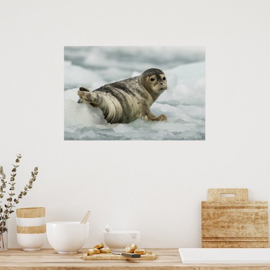 Edelzegel Poster (Keuken)