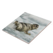 Edelzegel Tegeltje (Zijkant)