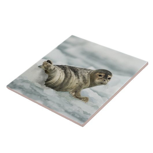 Edelzegel Tegeltje (Zijkant)