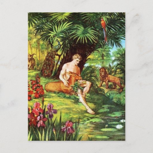 Eden Adam in de tuin Briefkaart (Voorkant)
