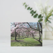 Eden Park Cincinnati, Ohio in het voorjaar Briefkaart (Staand voorkant)