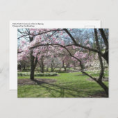 Eden Park Cincinnati, Ohio in het voorjaar Briefkaart (Voorkant / Achterkant)