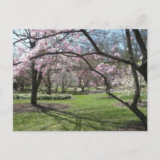 Eden Park Cincinnati, Ohio in het voorjaar Briefkaart (Voorkant)