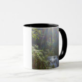 EDEN RAINBOWS MOK (Voorkant rechts)