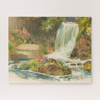 Eden Vale Waterfall, Wexford Ierland Legpuzzel