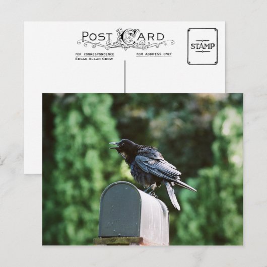 Edgar Allan Crow, briefkaart (Voorkant / Achterkant)