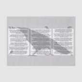 Edgar Allan Poe de Raven Tissuepapier (Voorkant)