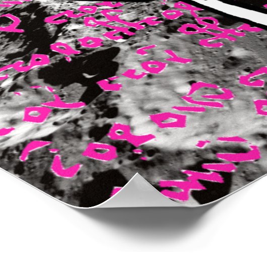 Edgar Allan Poe Flea Moon Lunar Voynich Manuscript Poster (Hoek)