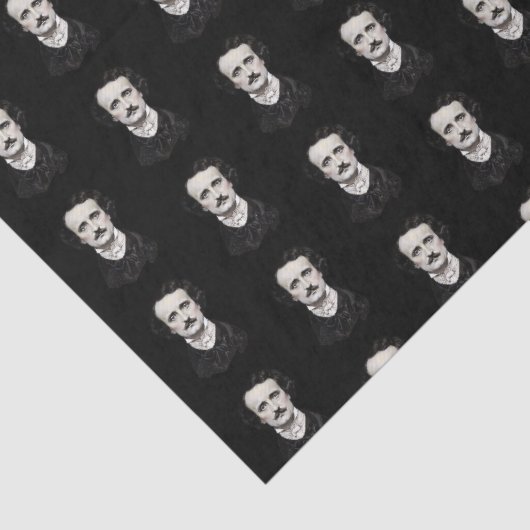 Edgar Allan Poe Portrait Black Tissuepapier (Detail)