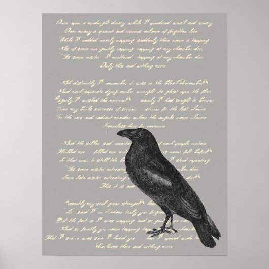 Edgar Allan Poe "Raven" Poster (Voorkant)