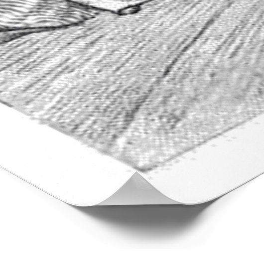 Edgar Allan Poe's Raven - Nevermore Poster (Hoek)