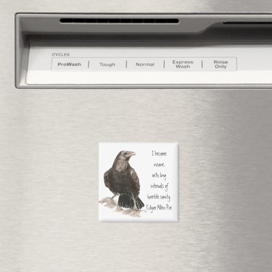 Edgar Allen Poe Insanity Quote Waterverf Raven Magneet (Insitu (Vaatwasser))