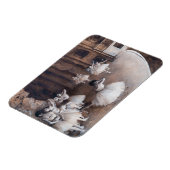 Edgar Degas - Ballet-repetitie over Stage Magneet (Linkerzijde)