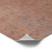 Edgar Degas Ballet Scene Ballerinas Art Poster (Hoek)