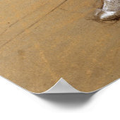 Edgar Degas Dancer Poster (Hoek)