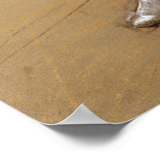 Edgar Degas Dancer Poster (Hoek)