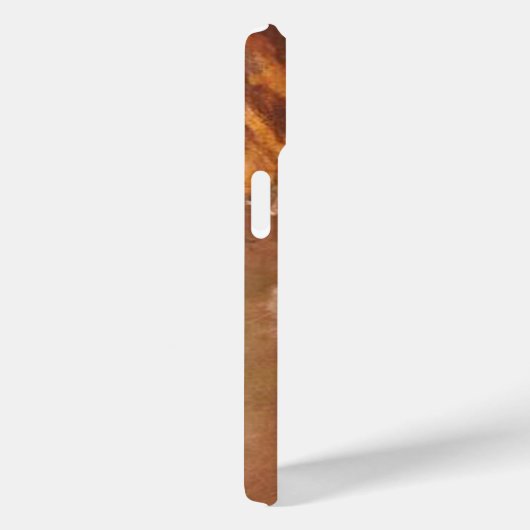 Edgar Degas de Star iPhone Case (Achterkant / Rechts)