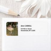 Edgar Degas - De Ster 1878 Etiket (Insitu)